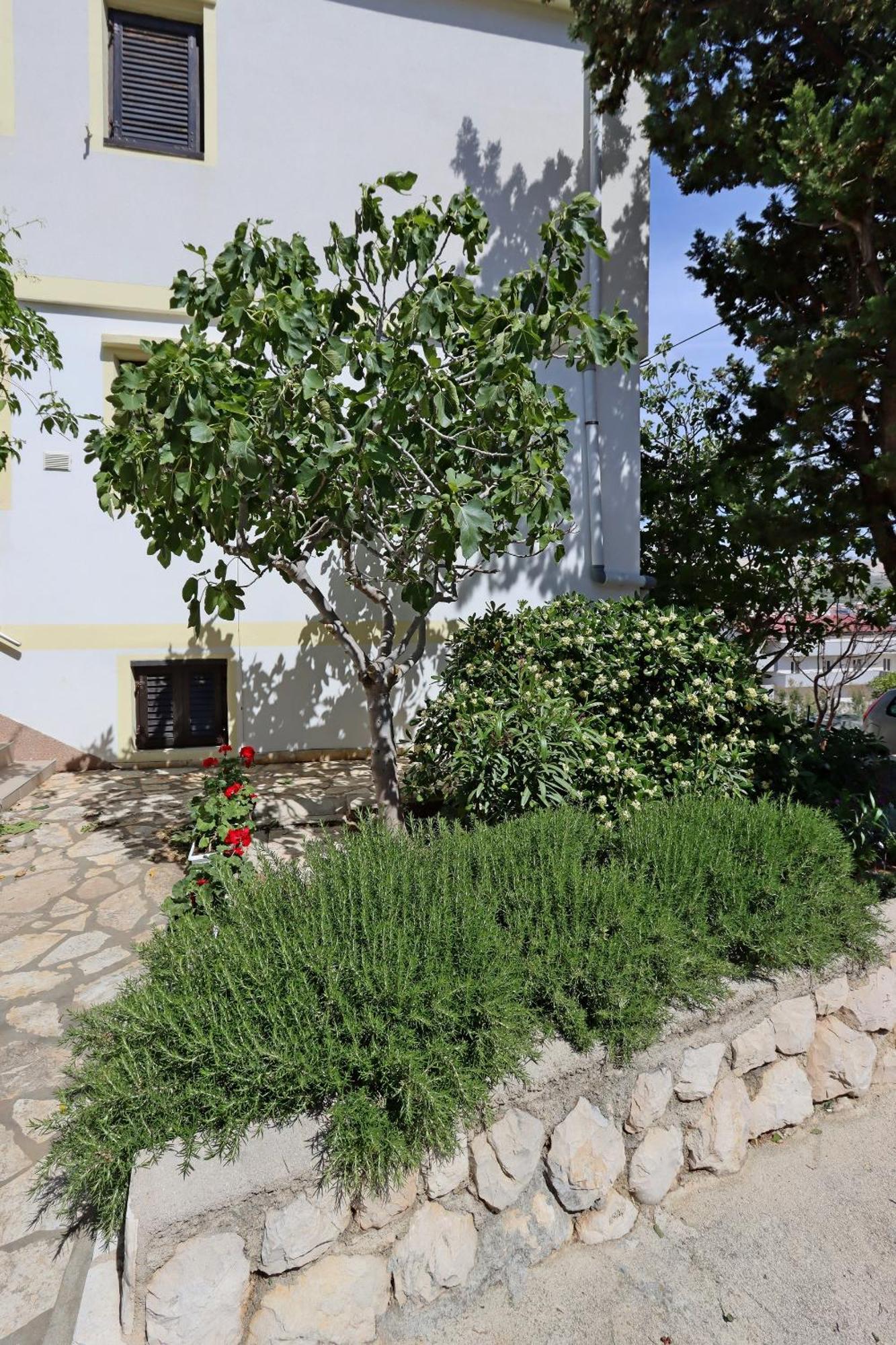 Apartments With A Parking Space Pag - 18345 パグ エクステリア 写真